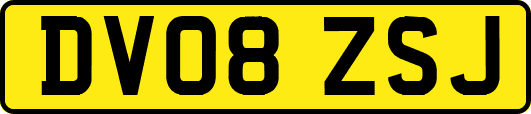 DV08ZSJ