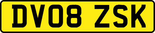 DV08ZSK