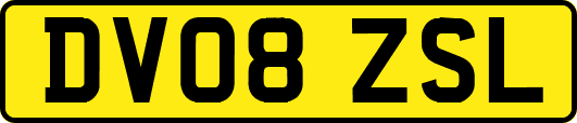 DV08ZSL