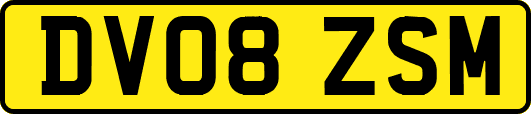 DV08ZSM