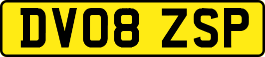 DV08ZSP