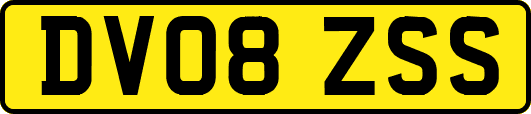 DV08ZSS