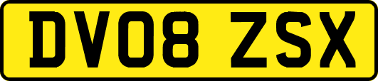 DV08ZSX