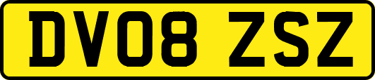 DV08ZSZ