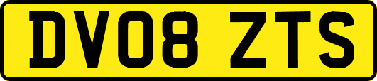 DV08ZTS