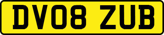 DV08ZUB