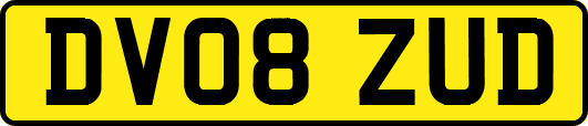 DV08ZUD