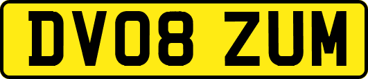 DV08ZUM