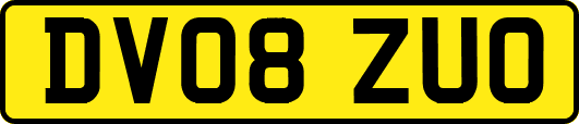DV08ZUO
