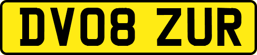 DV08ZUR