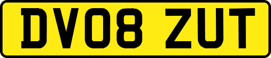 DV08ZUT