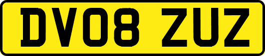 DV08ZUZ