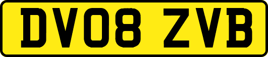 DV08ZVB