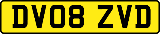 DV08ZVD