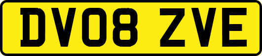 DV08ZVE