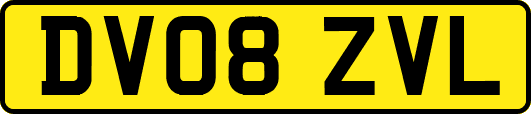 DV08ZVL
