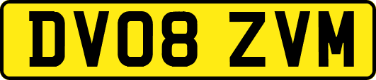 DV08ZVM