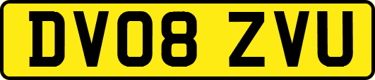 DV08ZVU