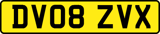 DV08ZVX