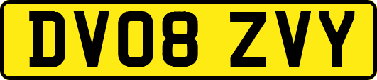 DV08ZVY