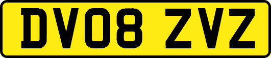 DV08ZVZ