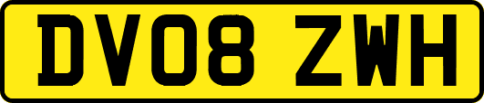 DV08ZWH