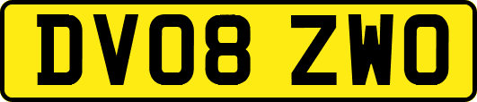 DV08ZWO