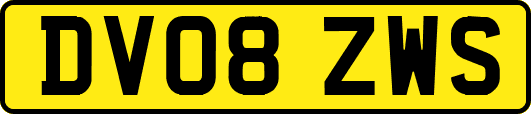 DV08ZWS