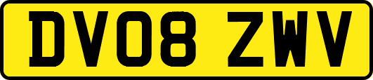 DV08ZWV