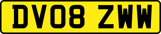 DV08ZWW