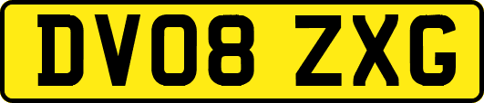 DV08ZXG