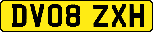 DV08ZXH