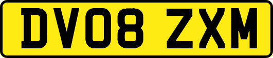 DV08ZXM