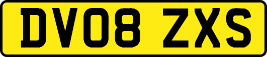DV08ZXS