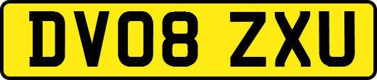 DV08ZXU