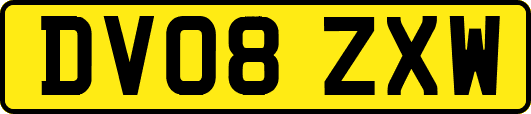 DV08ZXW