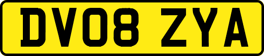 DV08ZYA