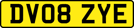 DV08ZYE