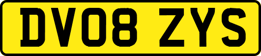 DV08ZYS