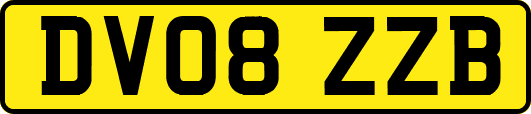 DV08ZZB