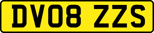 DV08ZZS