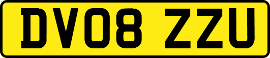 DV08ZZU