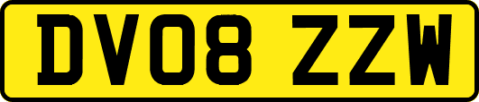 DV08ZZW