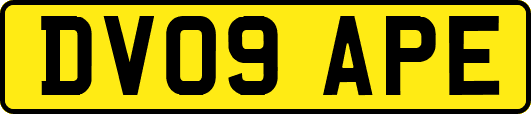 DV09APE