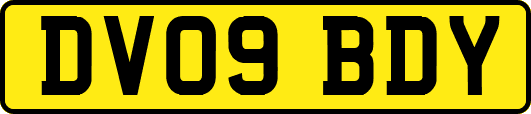 DV09BDY