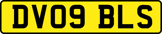 DV09BLS