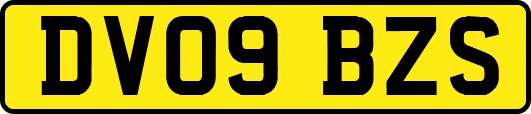 DV09BZS