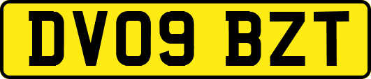 DV09BZT