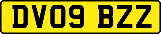 DV09BZZ