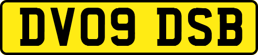 DV09DSB